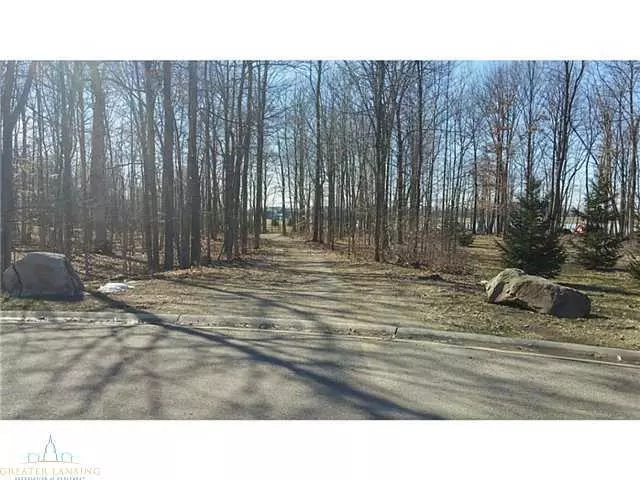  1 Carls Ridge Dr, Charlotte, MI 48813 photo 14