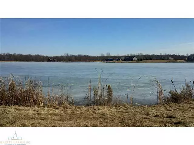  1 Carls Ridge Dr, Charlotte, MI 48813 photo 8