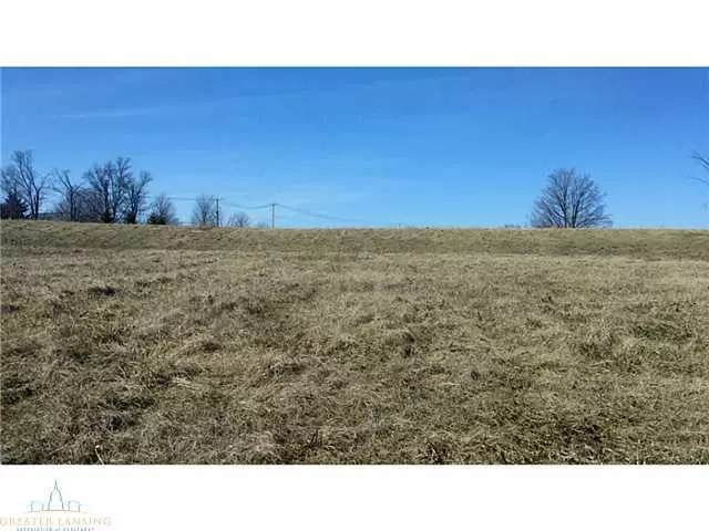  1 Carls Ridge Dr, Charlotte, MI 48813 photo 11