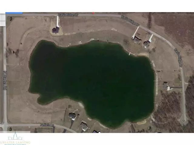  1 Carls Ridge Dr, Charlotte, MI 48813 photo 15