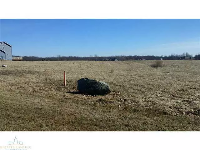  1 Carls Ridge Dr, Charlotte, MI 48813 photo 13