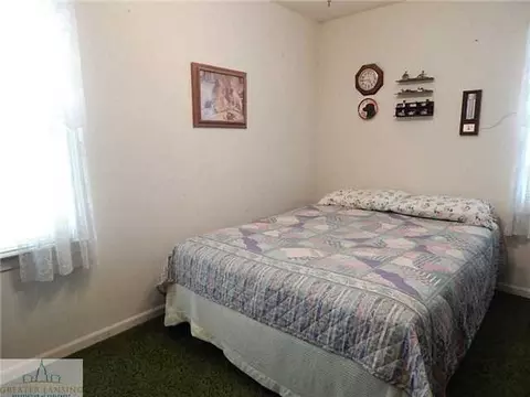 5653 Babbitt St, Haslett, MI 48840 photo 9