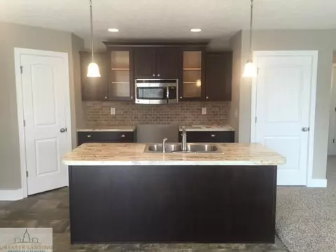 4601 Bison, Holt, MI 48842 photo 4