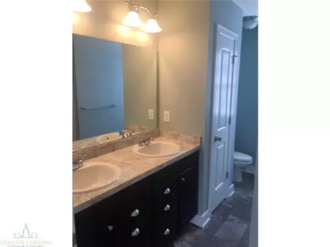 4601 Bison, Holt, MI 48842 photo 11