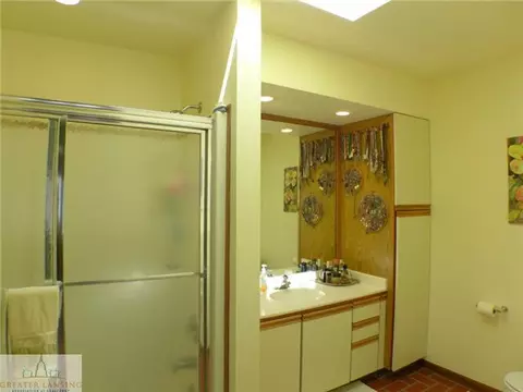 704 Lehigh Dr, Dewitt, MI 48820 photo 14