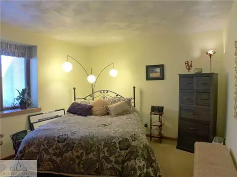 704 Lehigh Dr, Dewitt, MI 48820 photo 15