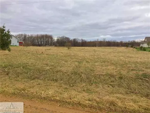 4374 W Cutler Rd, Dewitt, MI 48820 photo 2