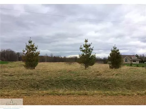 4374 W Cutler Rd, Dewitt, MI 48820 photo 3