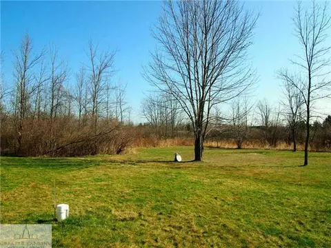 9649 Fenner Rd, Perry, MI 48872 photo 24