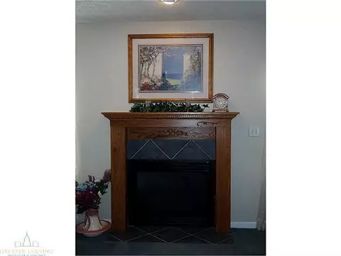 9649 Fenner Rd, Perry, MI 48872 photo 14