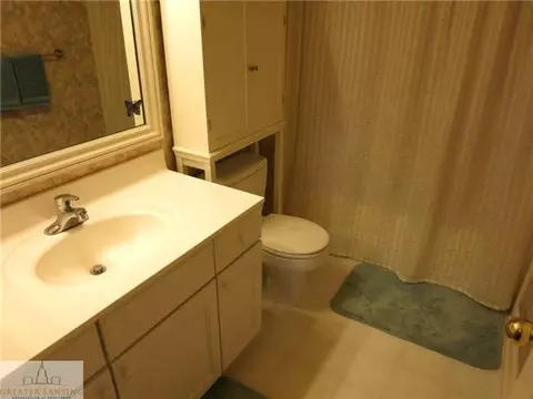 3360 Hidden Ridge Dr, Dewitt, MI 48820 photo 15