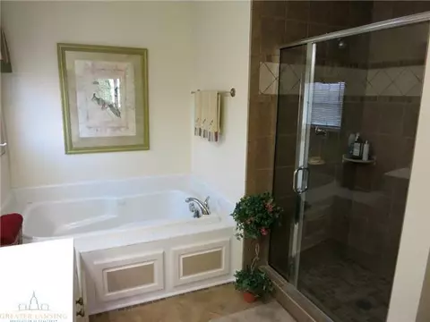 3360 Hidden Ridge Dr, Dewitt, MI 48820 photo 12