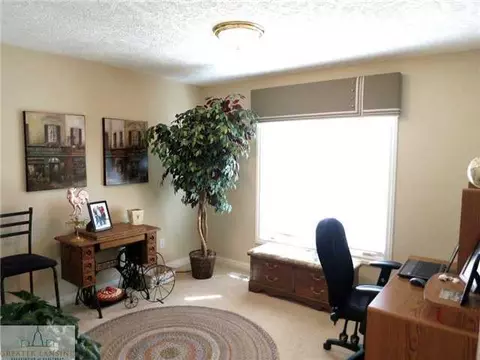 3360 Hidden Ridge Dr, Dewitt, MI 48820 photo 16