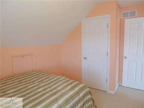 8680 Jacaranda, Dimondale, MI 48821 photo 21