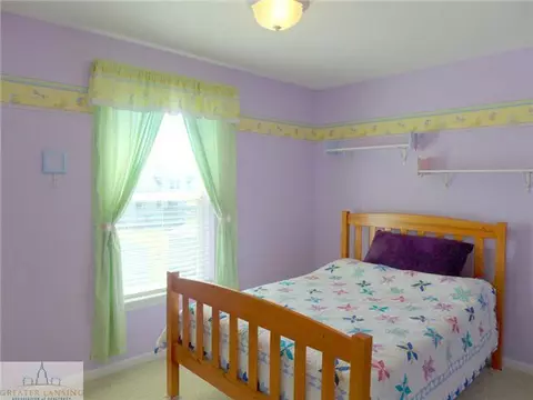 8680 Jacaranda, Dimondale, MI 48821 photo 17