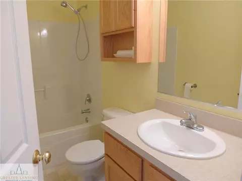 8680 Jacaranda, Dimondale, MI 48821 photo 20