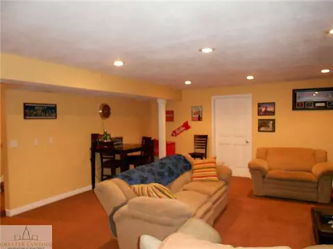 11532 Sara Ann Dr, Dewitt, MI 48820 photo 12