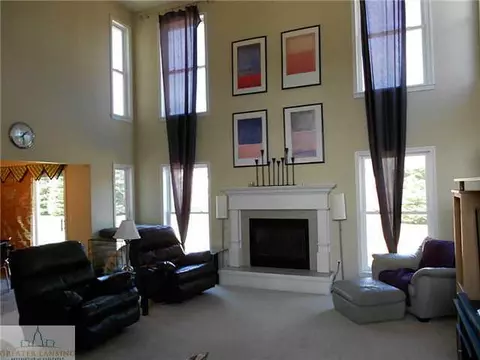 11532 Sara Ann Dr, Dewitt, MI 48820 photo 4