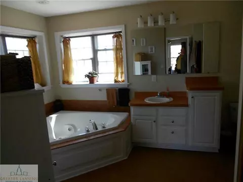 11532 Sara Ann Dr, Dewitt, MI 48820 photo 8