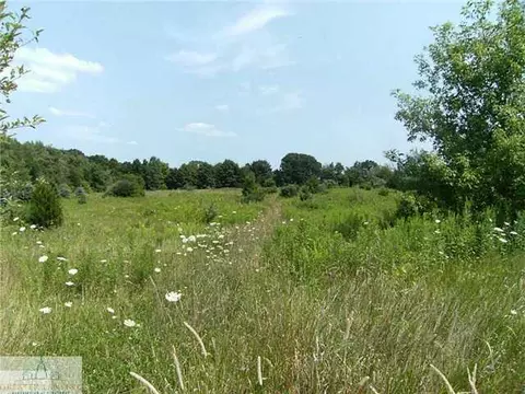 8603 S Grove Rd, Dewitt, MI 48820 photo 15