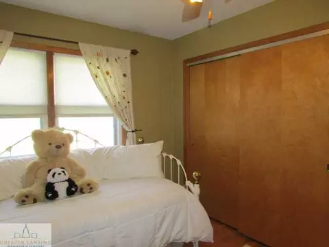 216 Mark St, Mason, MI 48854 photo 20