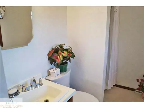 5120 Barton, Williamston, MI 48895 photo 13