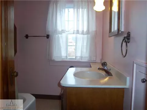 213 E Scott, Grand Ledge, MI 48837 photo 16