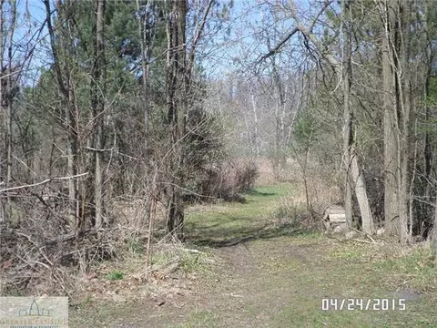 9285 E M-21, Ovid, MI 48866 photo 9