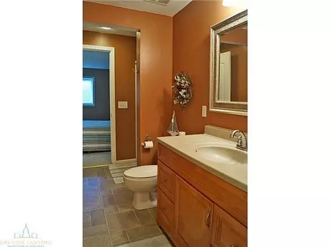 11720 Rachel Ln, Dewitt, MI 48820 photo 22
