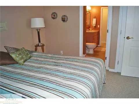 11720 Rachel Ln, Dewitt, MI 48820 photo 21