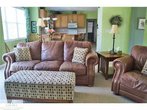 11720 Rachel Ln, Dewitt, MI 48820 photo 9