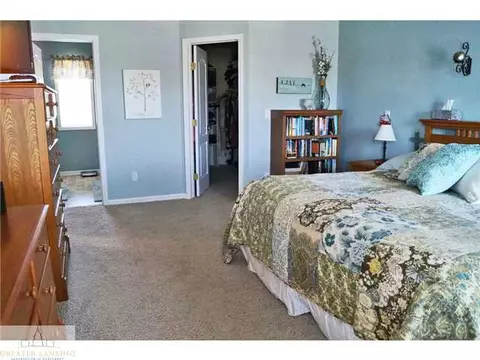 11720 Rachel Ln, Dewitt, MI 48820 photo 14