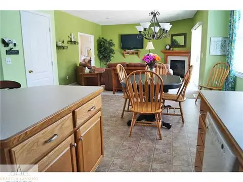 11720 Rachel Ln, Dewitt, MI 48820 photo 11