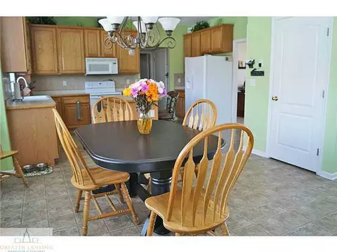 11720 Rachel Ln, Dewitt, MI 48820 photo 4