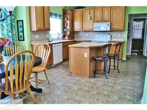 11720 Rachel Ln, Dewitt, MI 48820 photo 5