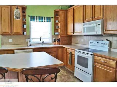 11720 Rachel Ln, Dewitt, MI 48820 photo 10