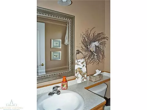 11720 Rachel Ln, Dewitt, MI 48820 photo 12