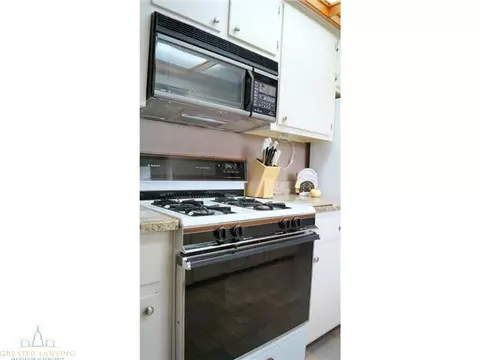 727 Arbor Vitae Dr, Lansing, MI 48917 photo 10