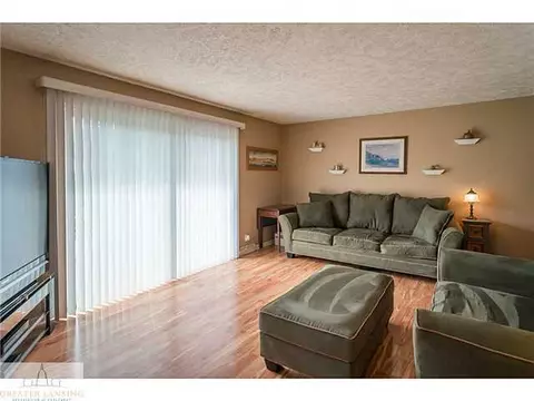 432 Iris, Lansing, MI 48917 photo 3