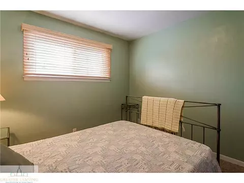 432 Iris, Lansing, MI 48917 photo 11