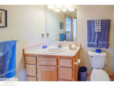 1402 Alan Ln, Lansing, MI 48917 photo 11