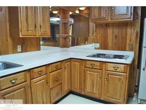 715 E Scott, Grand Ledge, MI 48837 photo 20