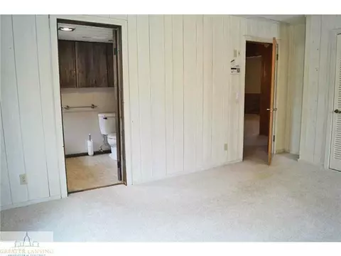 715 E Scott, Grand Ledge, MI 48837 photo 12