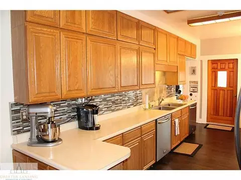 240 Washington, Dimondale, MI 48821 photo 6