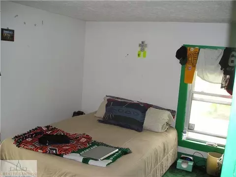 607 E Walker St, Saint Johns, MI 48879 photo 19