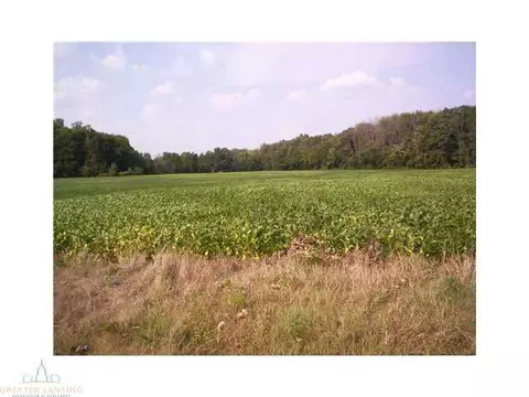 9745 Founders Lndg, Dewitt, MI 48820 photo 3