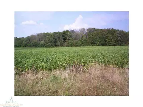 9745 Founders Lndg, Dewitt, MI 48820 photo 2