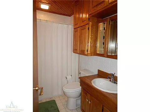 1050 W Dill, Dewitt, MI 48820 photo 14