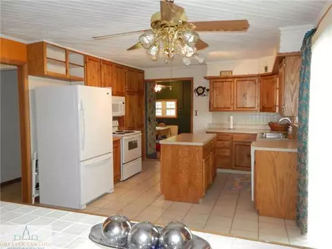 1050 W Dill, Dewitt, MI 48820 photo 8