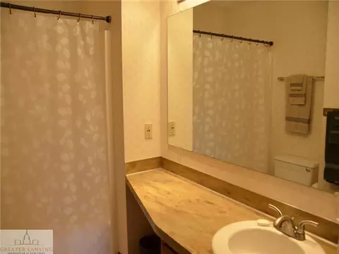4444 Comanche, Okemos, MI 48864 photo 20